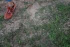 thumbs/bilder vom beachvolleyballplatz 029.jpg